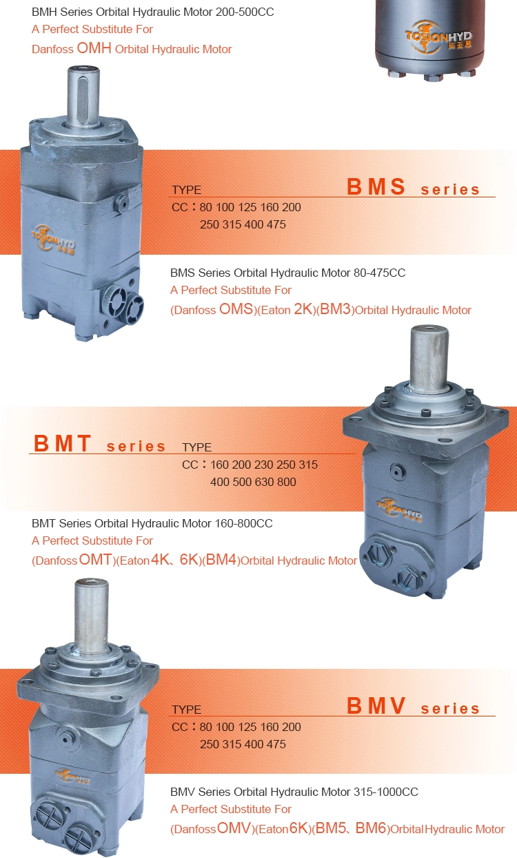 Bmv1000 Omv1000 Hmb Travel Cmw2 Hydraulic Pump Motor Assembly