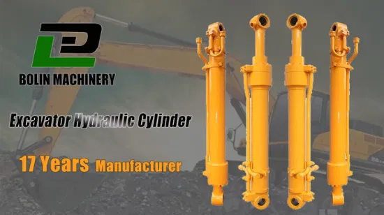Factory Best Price Hydraulic Cylinder for 50 100 200 300 400 Ton Excavator Arm Boom Bucket Cylinders